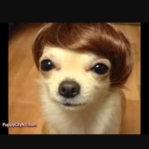 Meet your Posher, Matthew